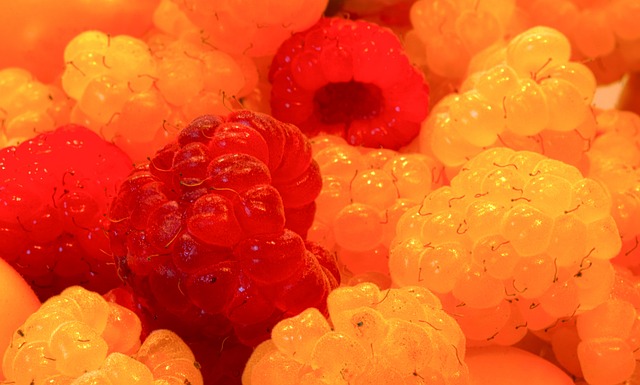 了无所畏惧 了无所畏惧